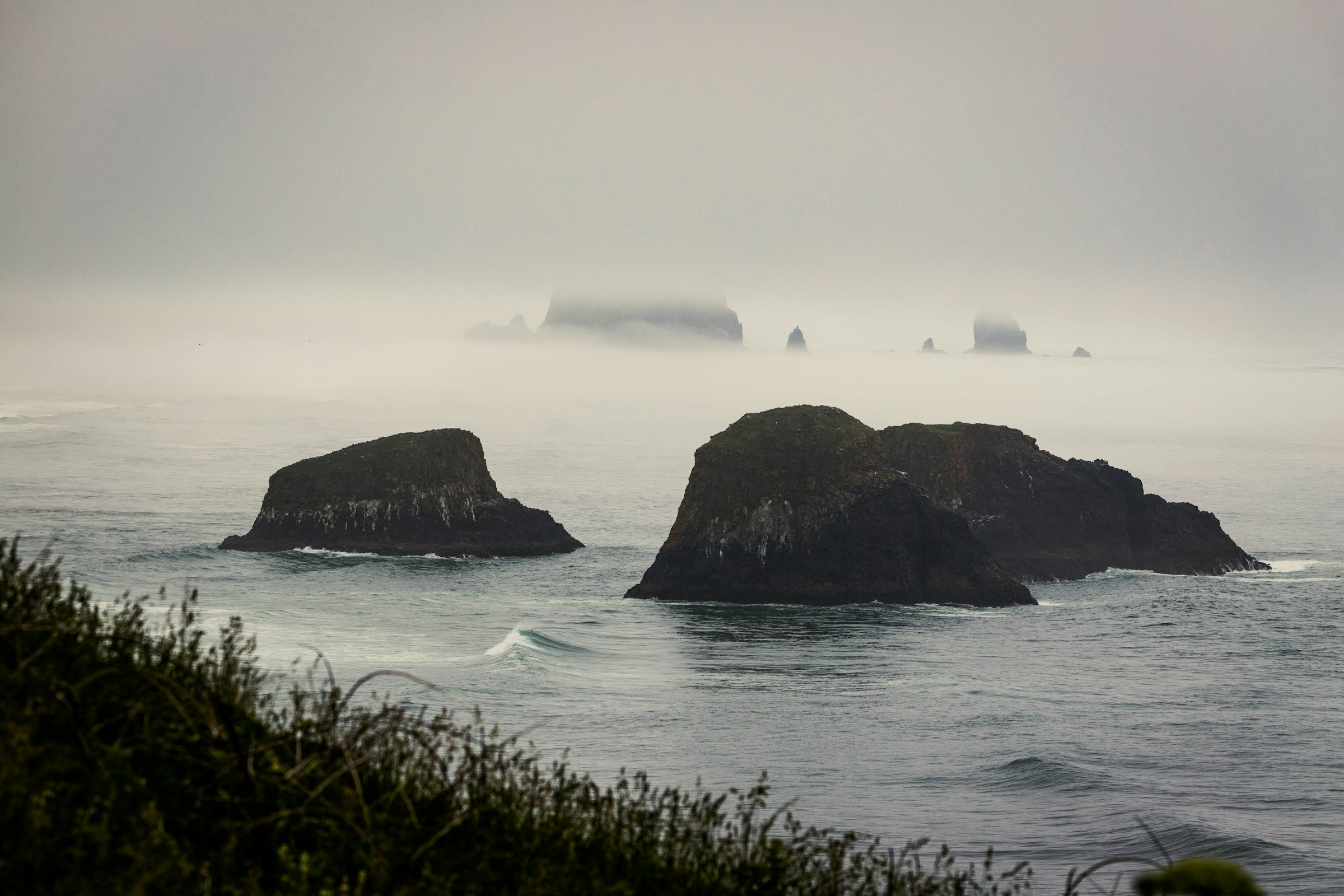 The Oregon coast in low fog